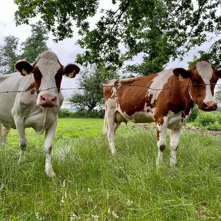 Ferien-am-uhlenmeer Keine-monteure Apen