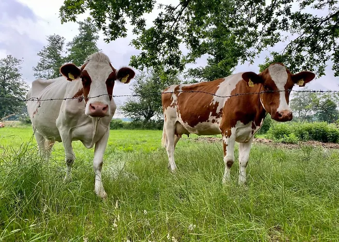 Ferien-am-uhlenmeer Keine-monteure Apen